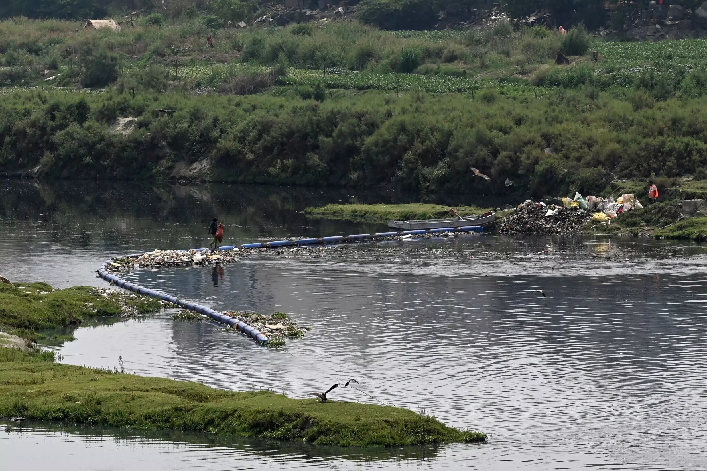 A man walks over a floating barrier stopping waste from a sewage canal leading to New Delhi's Yamuna River, one of the filthiest in the world. Photo: AFP