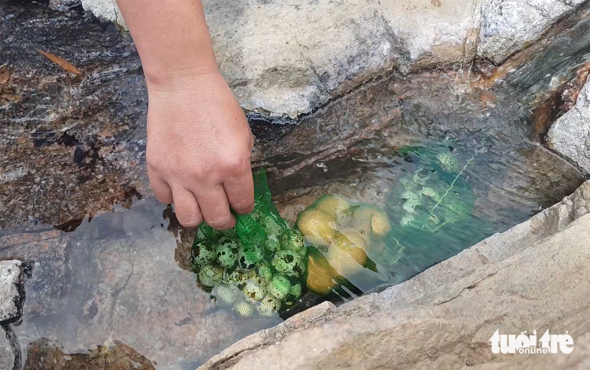 Eggs take just 10-15 minutes to cook in the hot spring.