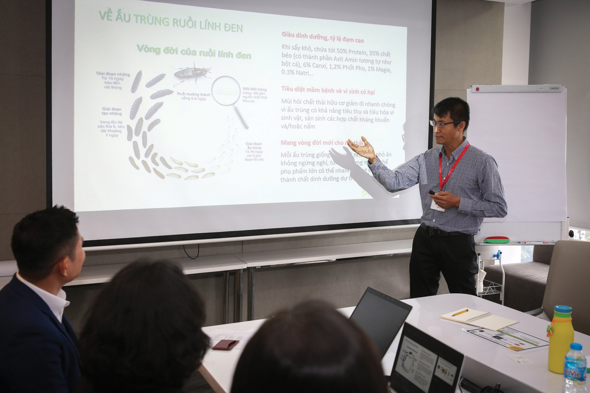 Harvard graduate makes career breeding insect larvae in Vietnam