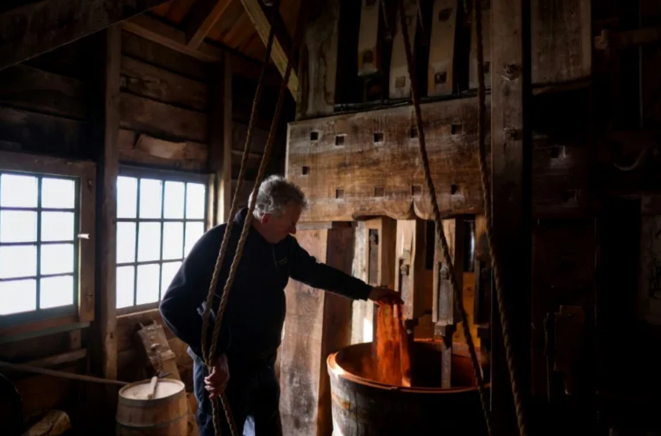 Dutch windmill offers last link to paint made in Vermeer's day