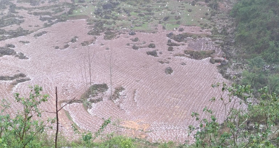A field in Cao Bang Province covered by hailstones. Photo: Cao Bang Hong