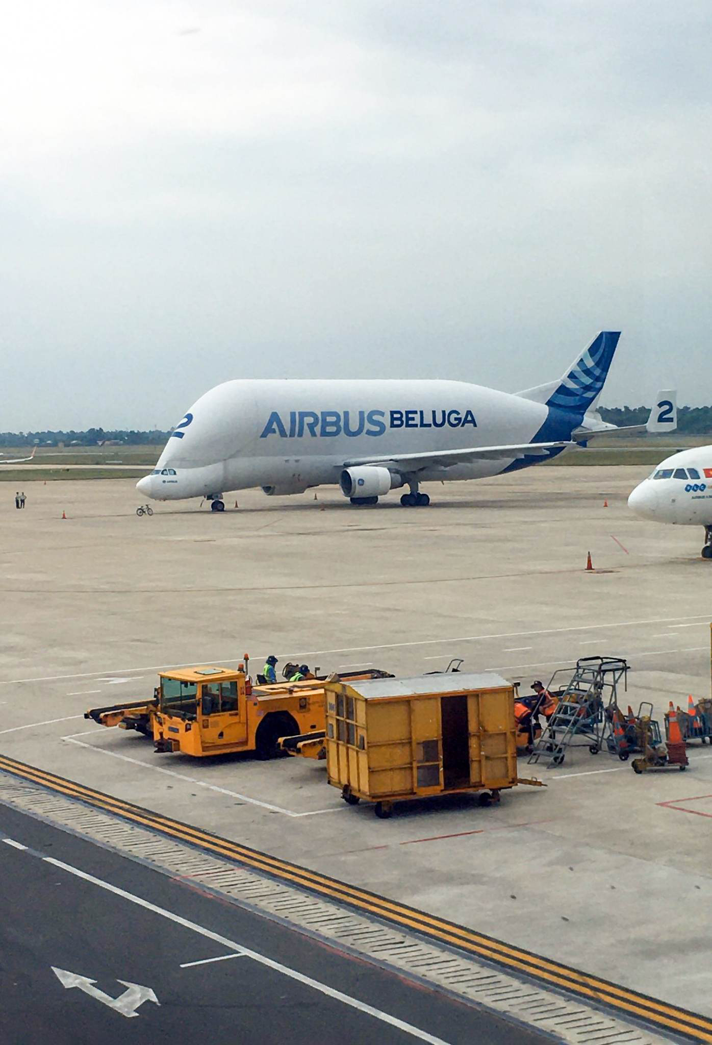 The Airbus-operated Belugas, serve Airbus production and assembly activities and offer outsized cargo transport services. Photo: N.N.D / Tuoi Tre