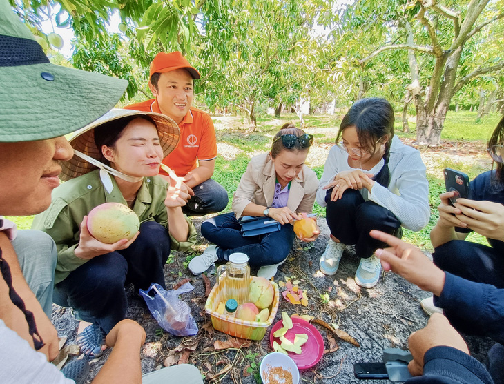 Tourists enjoy mangoes at a mango garden in Khanh Hoa Province, south-central Vietnam. Photo: Minh Chien / Tuoi Tre
