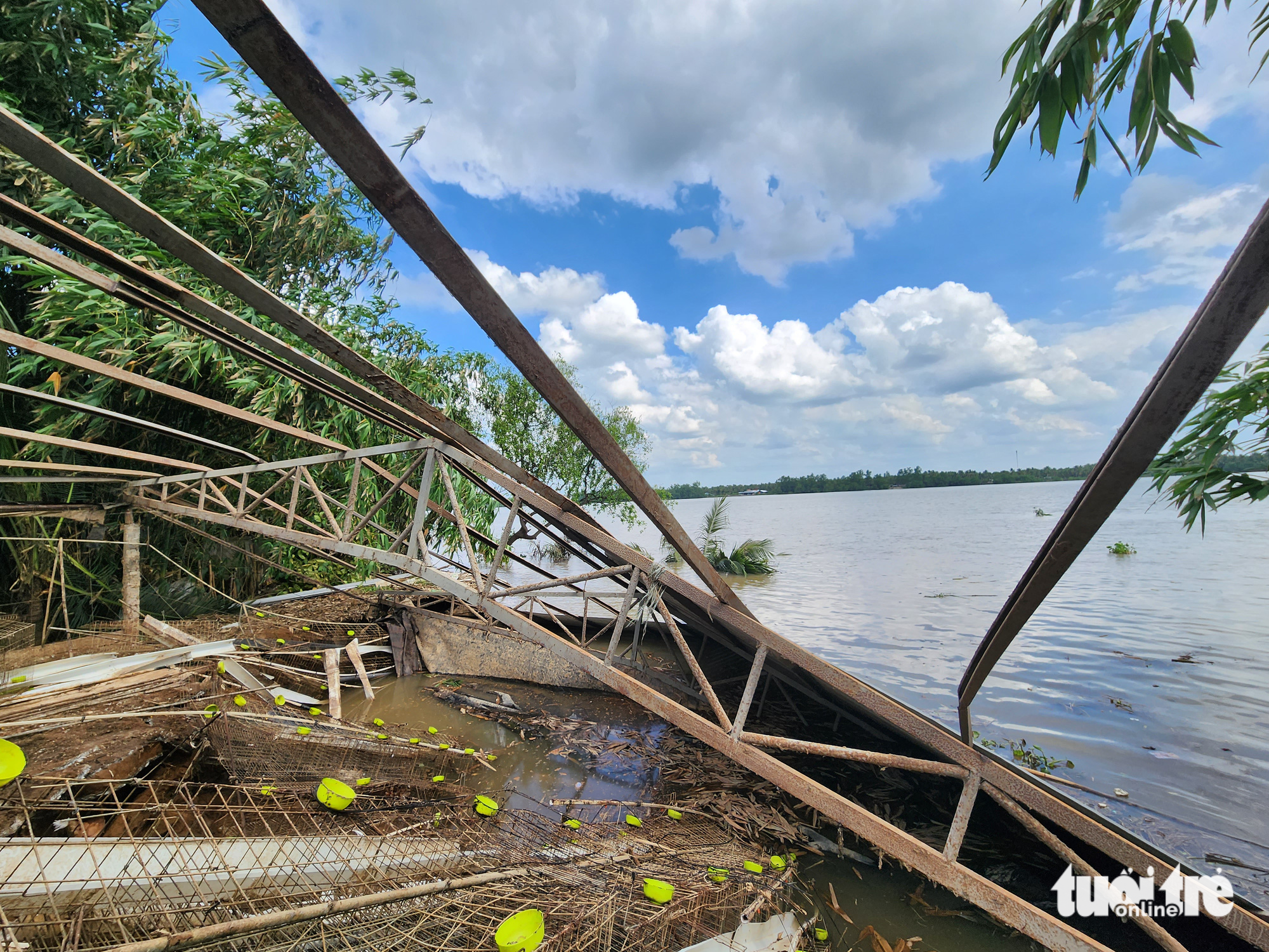 Landslides also left many coconut and bamboo trees buried in the Tien River section passing through Tien Giang Province, southern Vietnam. Photo: Hoai Phuong / Tuoi Tre