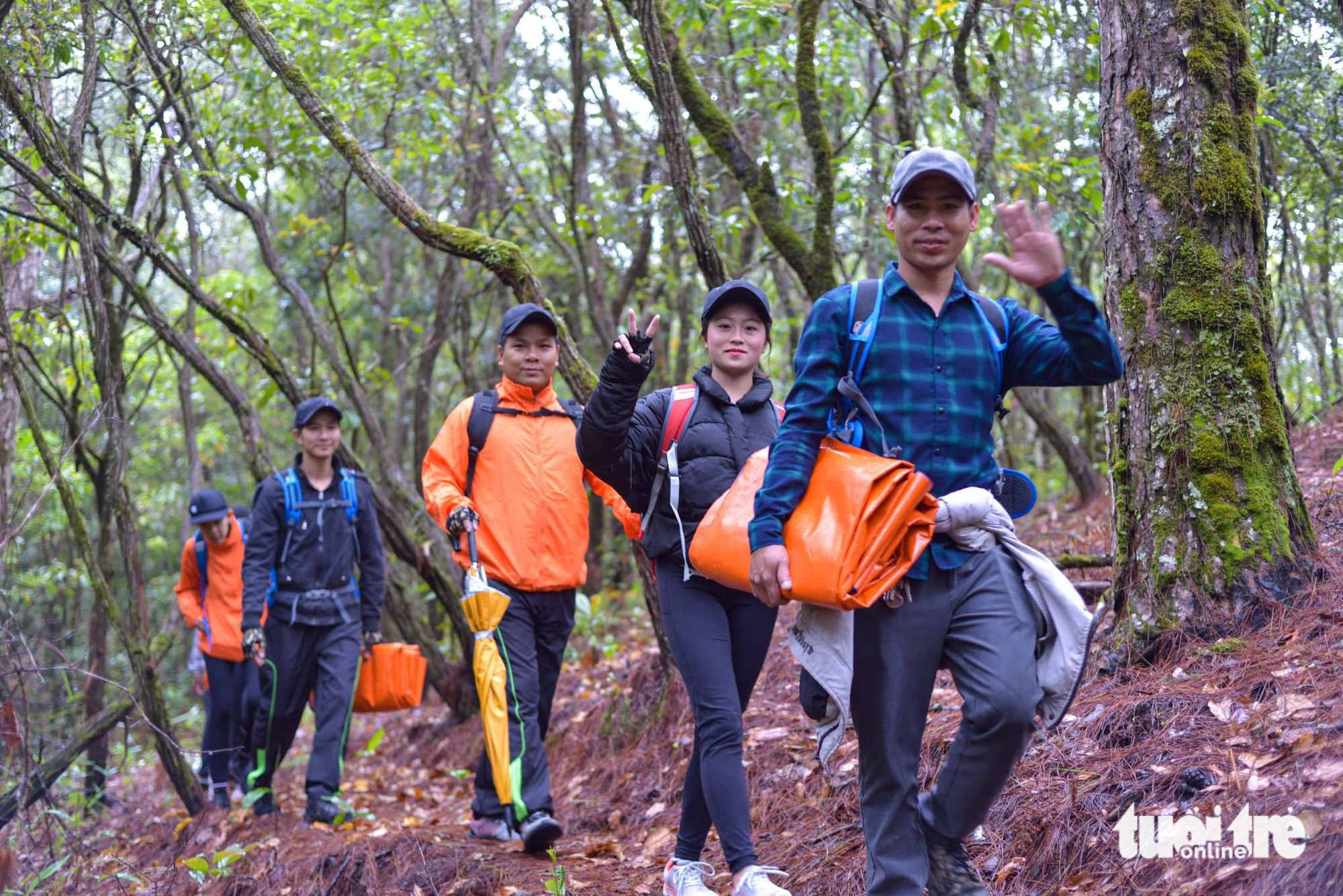 Travelers at the Langbiang Biosphere Reserve in Lam Dong Province. Photo: The Kiet / Tuoi Tre