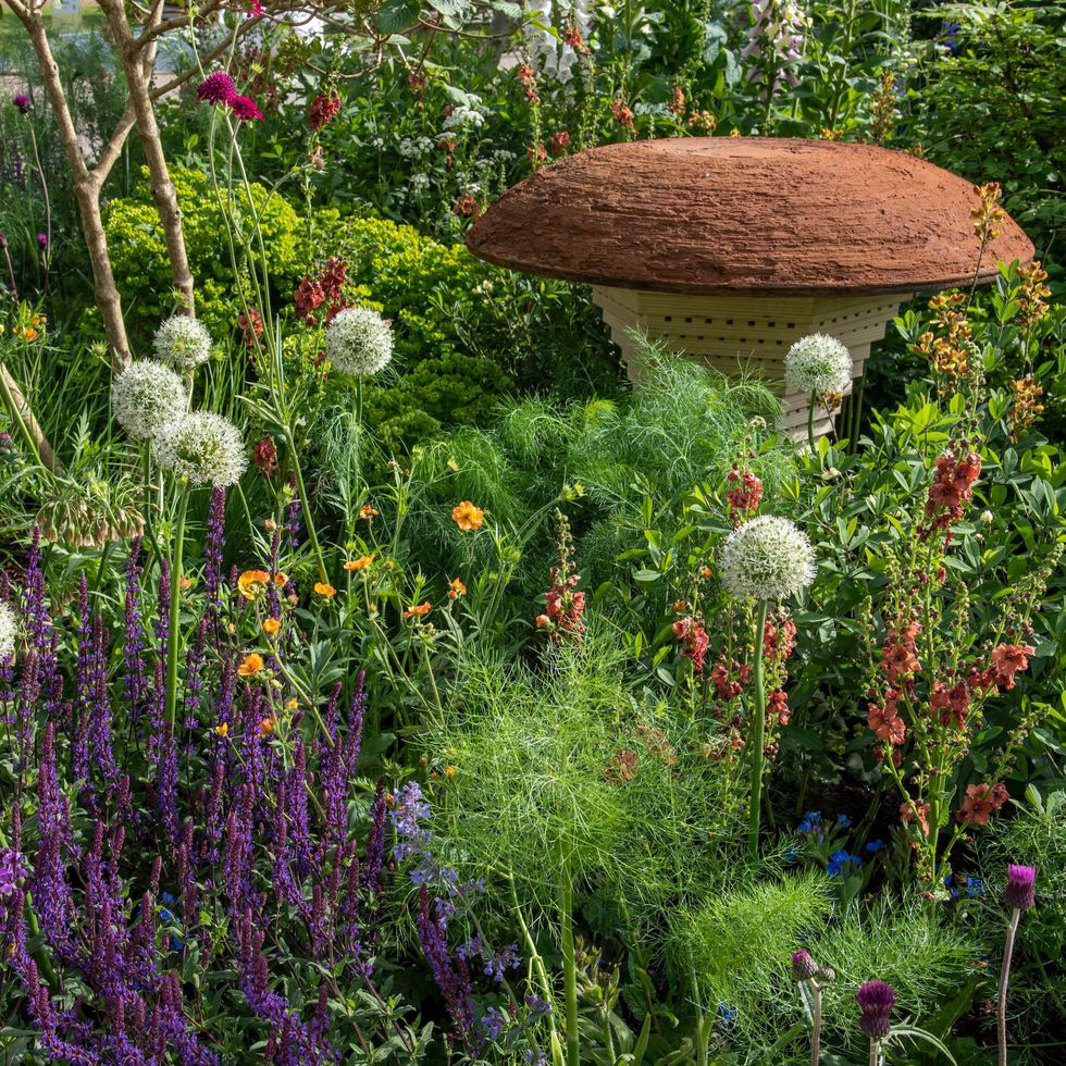 Many special and unique types of flowers displayed at the RHS Chelsea Flower Show 2023. Photo: RHS
