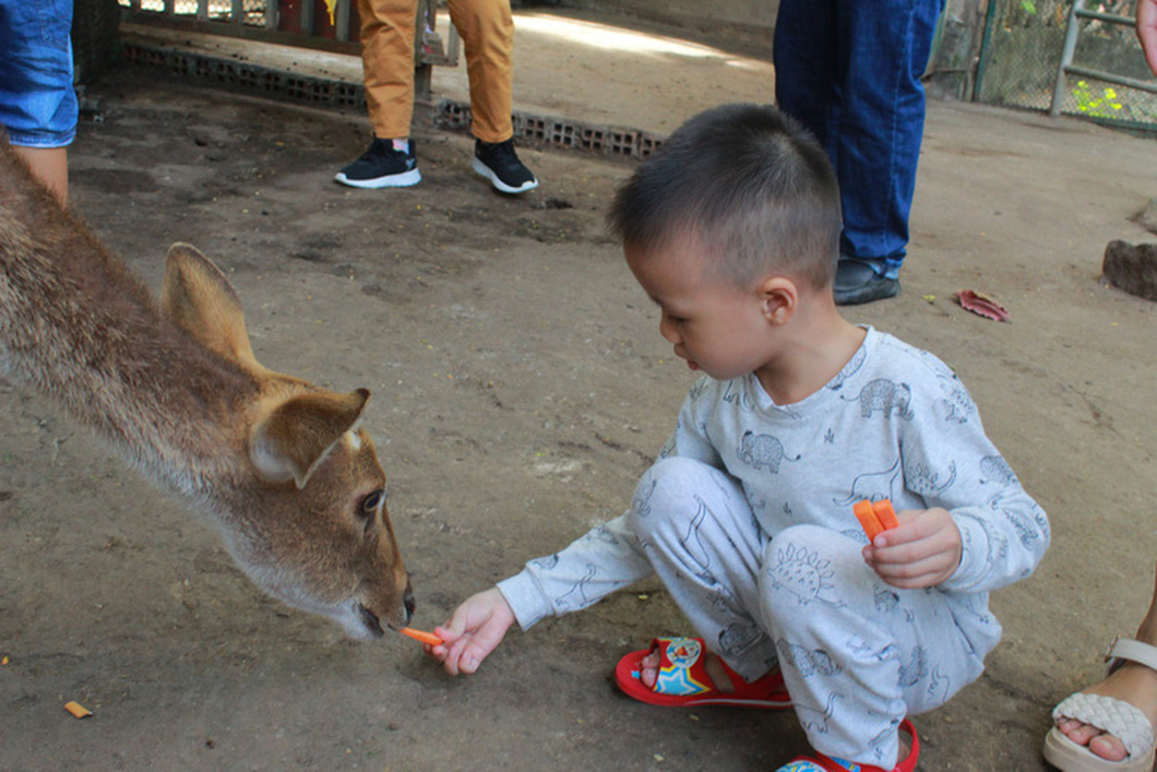 Free admission is being offered to kids under 1.3 meters tall at the Saigon Zoo and Botanical Gardens on the World Children’s Day, June 1. Photo: Bach Nam / Tuoi Tre