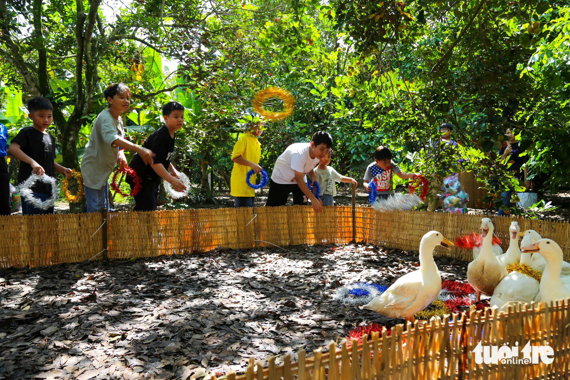 Children try catching ducks during a program offering visitors countryside experiences in Trung An Commune, Cu Chi District, Ho Chi Minh City, June 3, 2023. Photo: Tuoi Tre