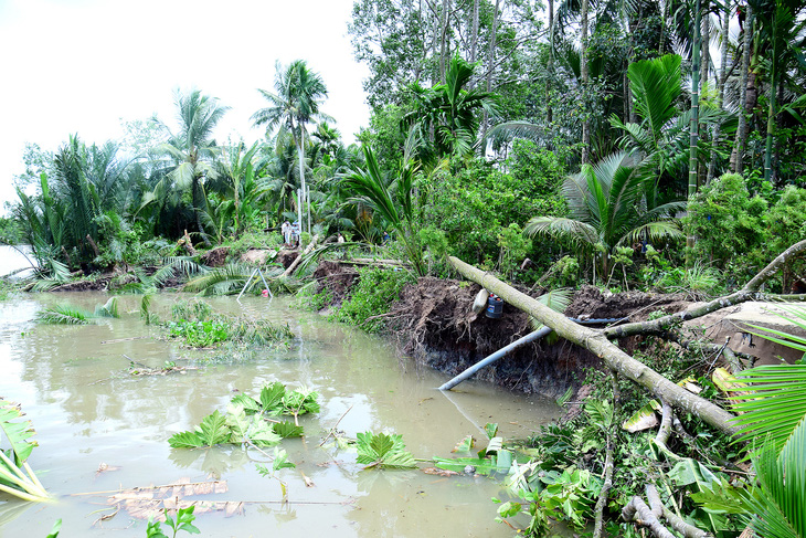 A landslide in Song Phung Communce, Long Phu District, Soc Trang Province. Photo: Khac Tam / Tuoi Tre