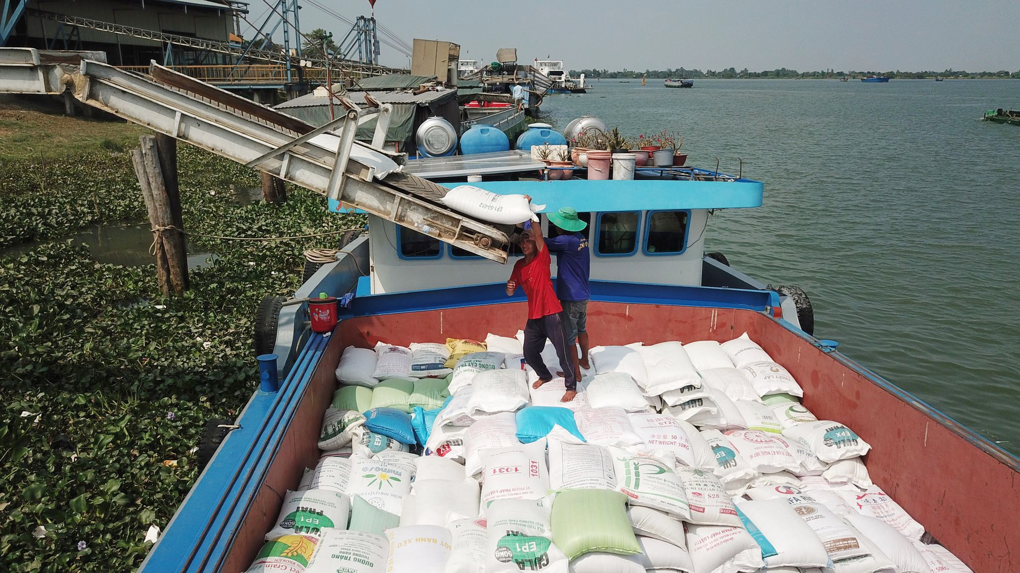 Vietnam rice exports surge in January-April