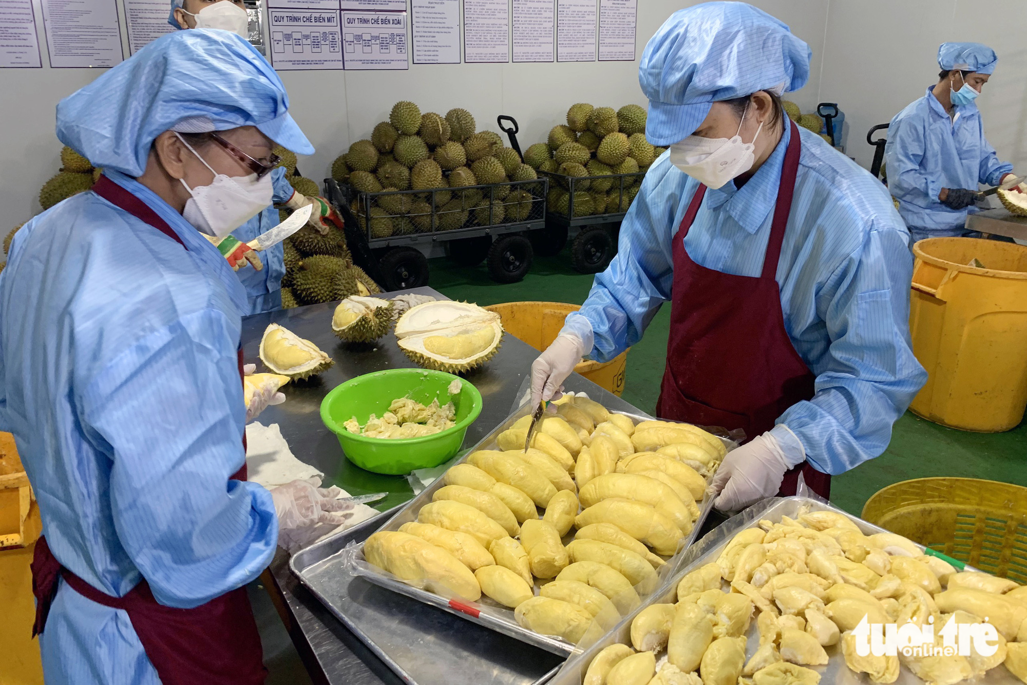Employees prepare to freeze durians at a facility in Dong Nai Province. Photo: A Loc / Tuoi Tre