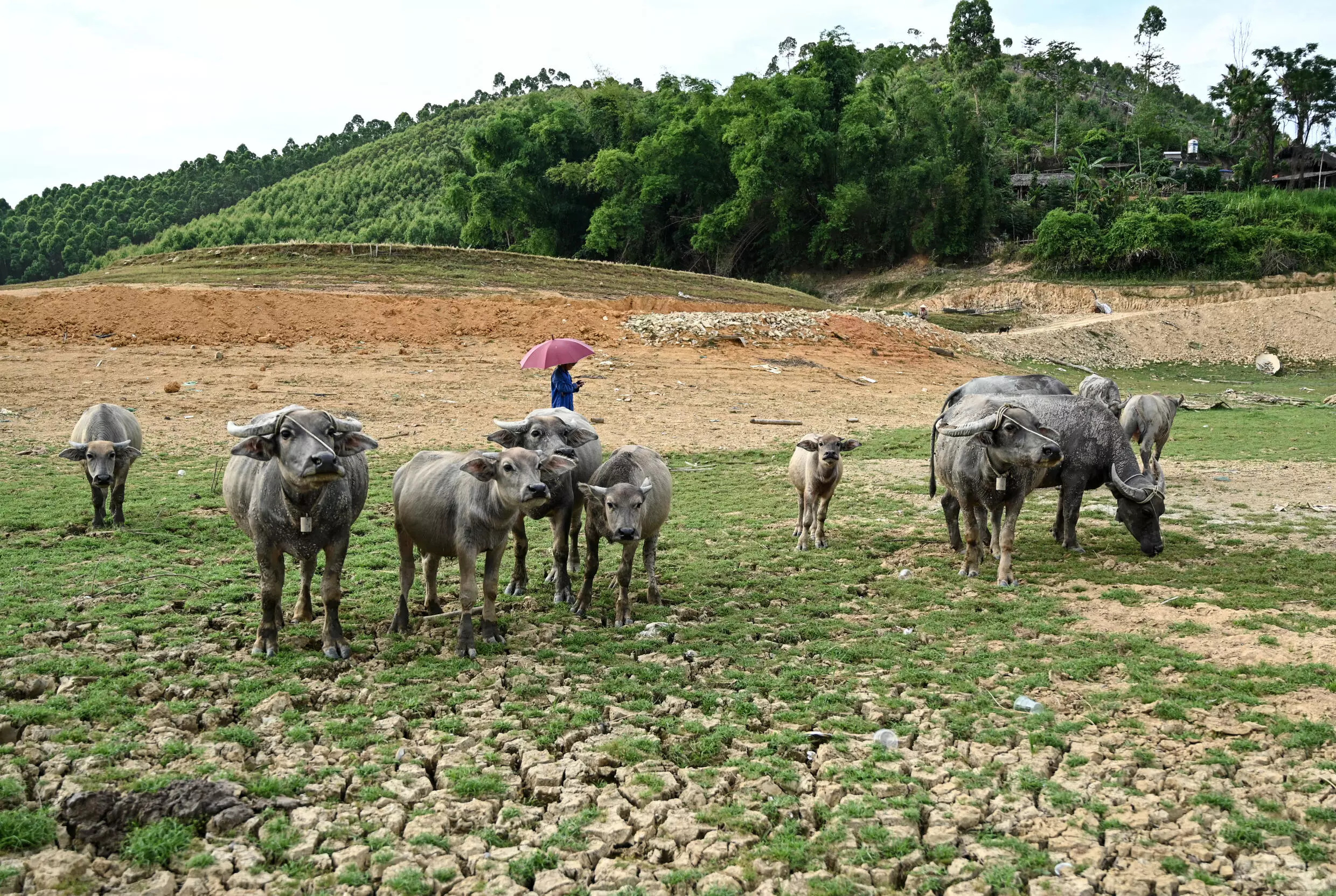 'If things continue like this, I'm afraid we won't have water to use for our daily life,' one resident told AFP. Photo: AFP