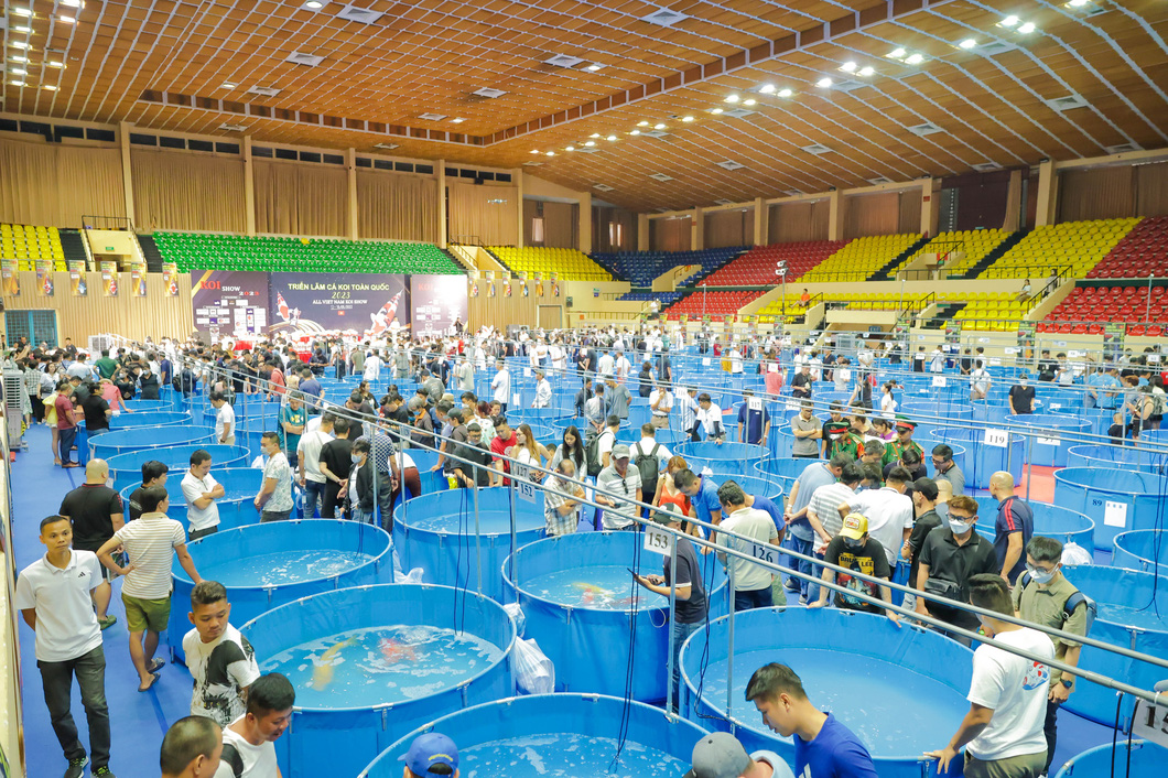 Hundreds of koi aficionados in Vietnam gather at the 2023 All Vietnam Koi Show in Ho Chi Minh City. Photo: All Vietnam Koi Show