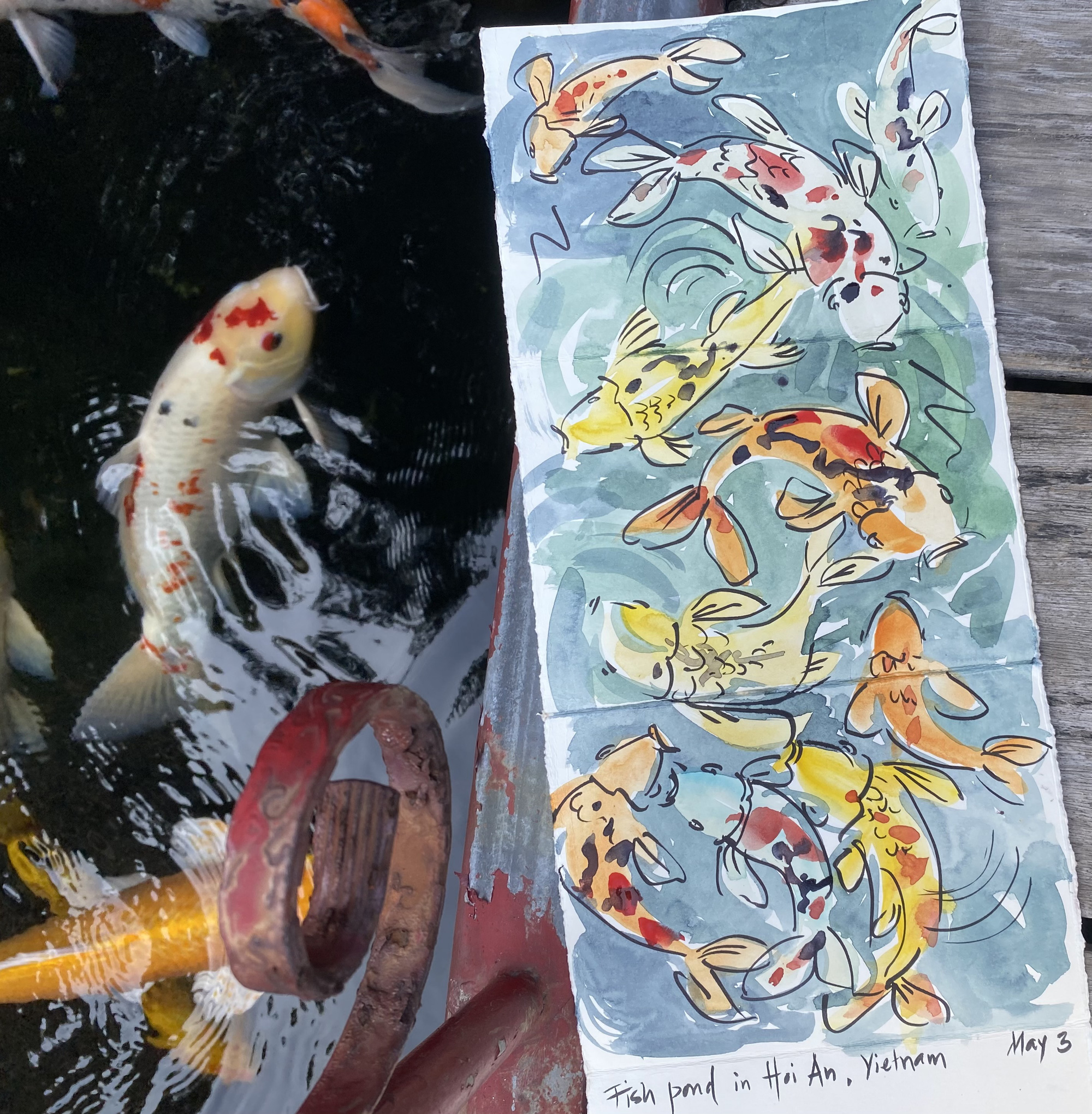A fish pond in Hoi An City, central Vietnam, sketched by Liz McGrath. Photo: Supplied