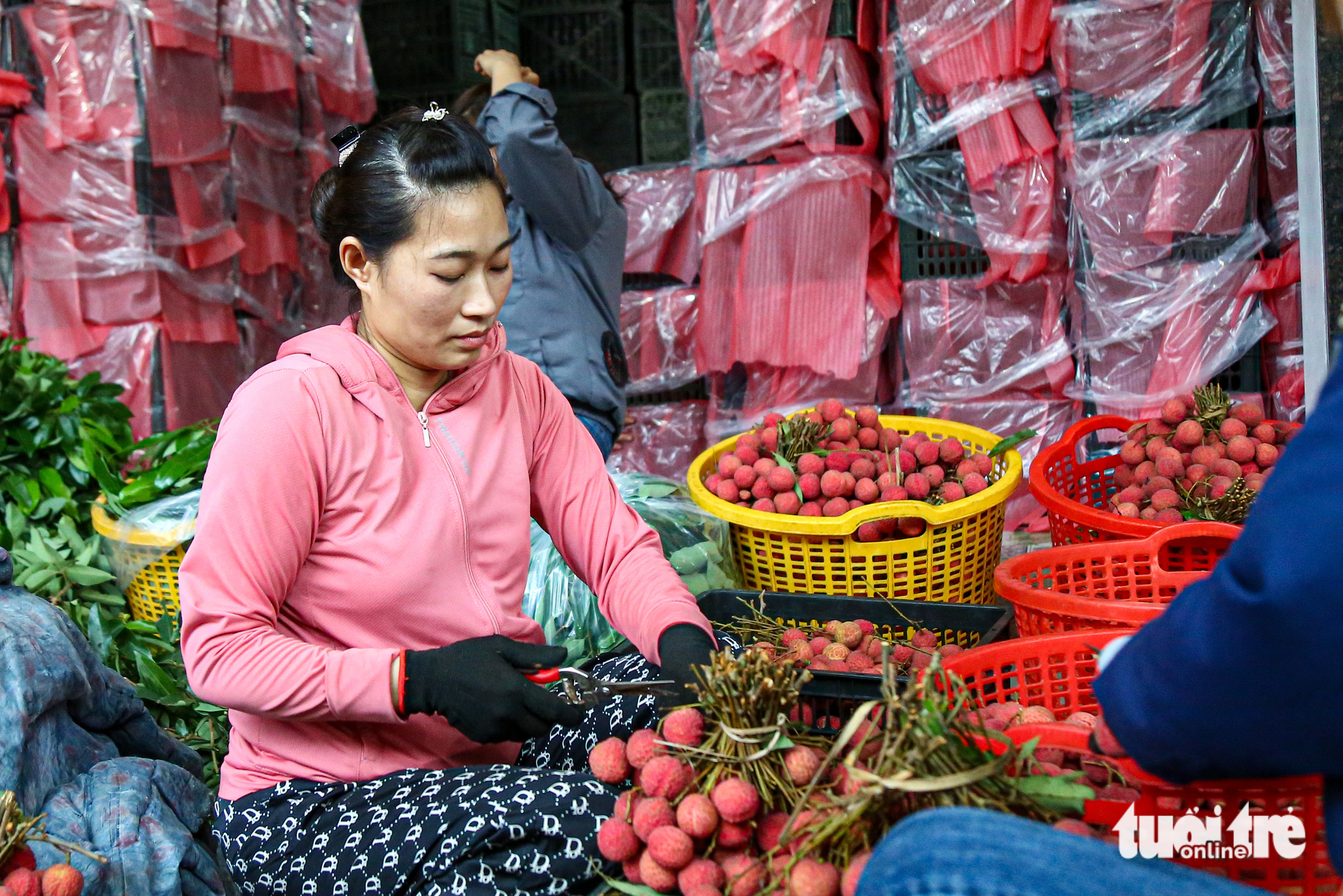 A lychee processing and packaging facility owned by Tran Thi Lich in Chu Town has some 40 employees who are working hard to ship a huge volume of lychees to China. Photo: Ha Quan / Tuoi Tre