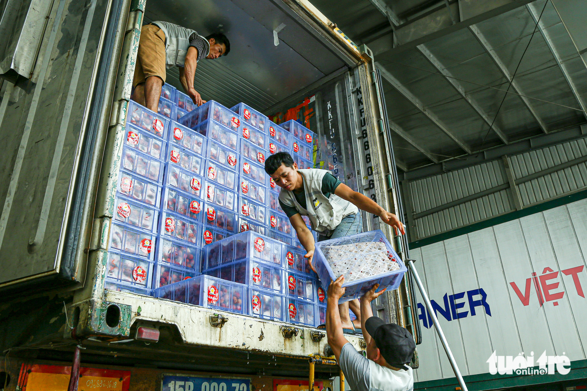 Workers load boxes of lychees onto a container truck at a warehouse in the Tan Thanh border gate area. Photo: Ha Quan / Tuoi Tre