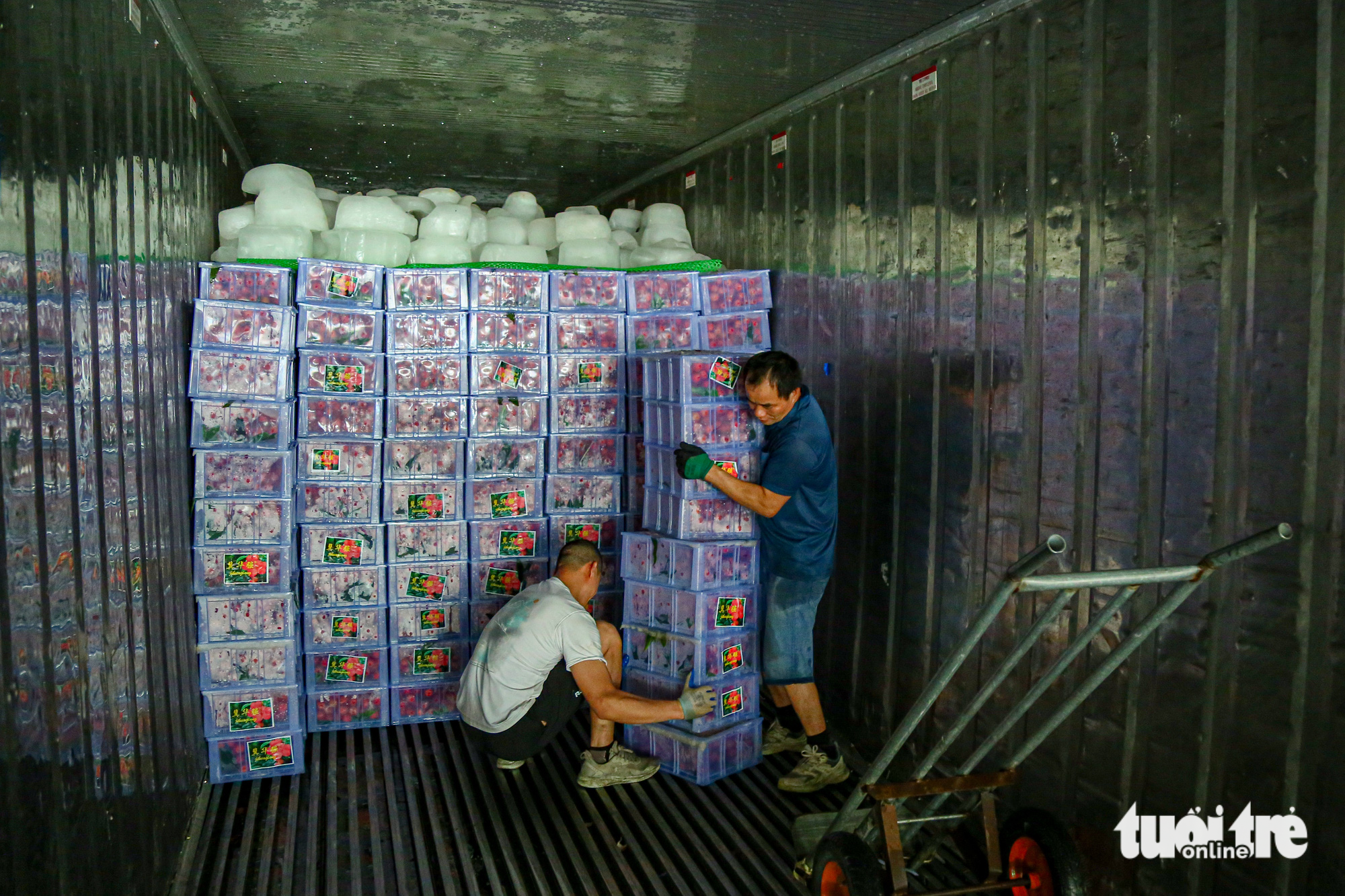 Workers at a fruit center in Pingxiang City in China unload boxes of lychees imported from Vietnam for consumption. Photo: Ha Quan / Tuoi Tre