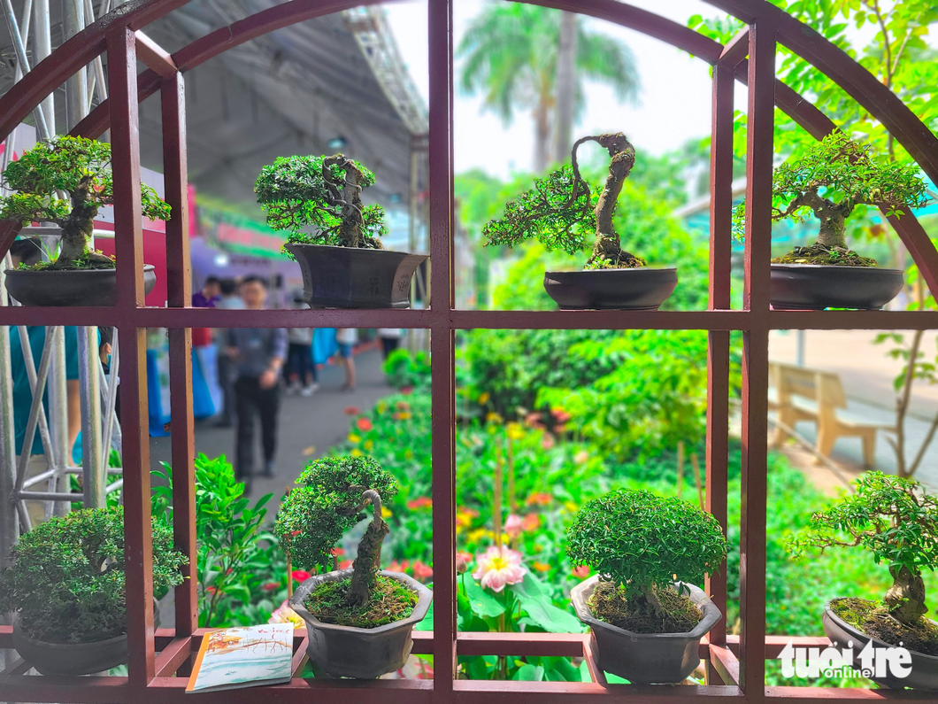Exotic bonsai pots on display at the fair. Photo: Nhat Xuan / Tuoi Tre