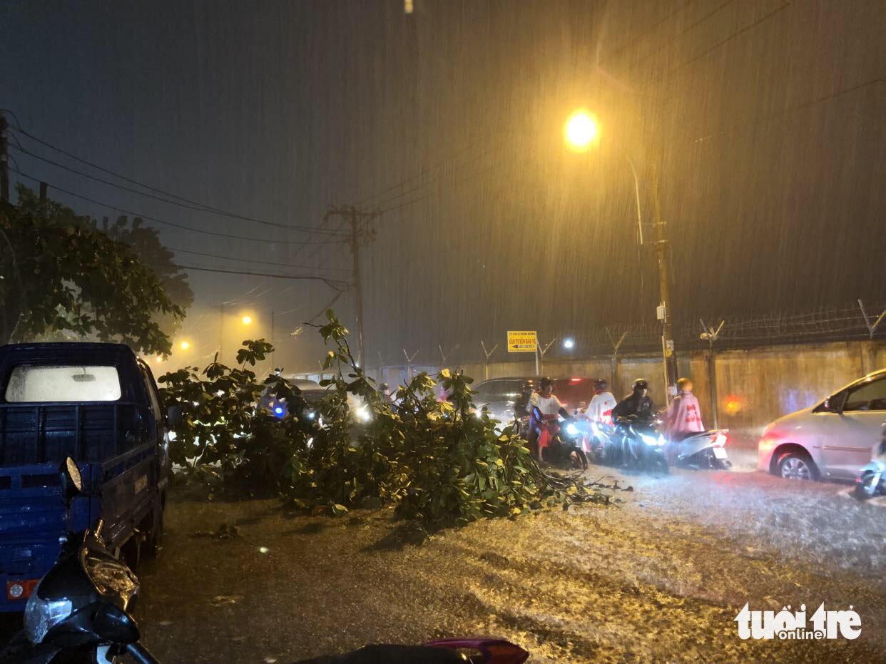 The rain accompanied by strong winds topples trees and floods Nguyen Son Street in Ho Chi Minh City’s Go Vap District on June 22, 2023. Photo: Luu Duyen / Tuoi Tre