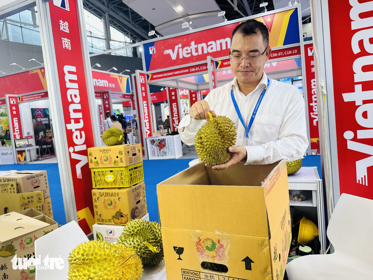 Ho Chi Minh City-based Red Dragon Co. Ltd. has prepared for a year to export durians to China. Photo: Thao Thuong / Tuoi Tre