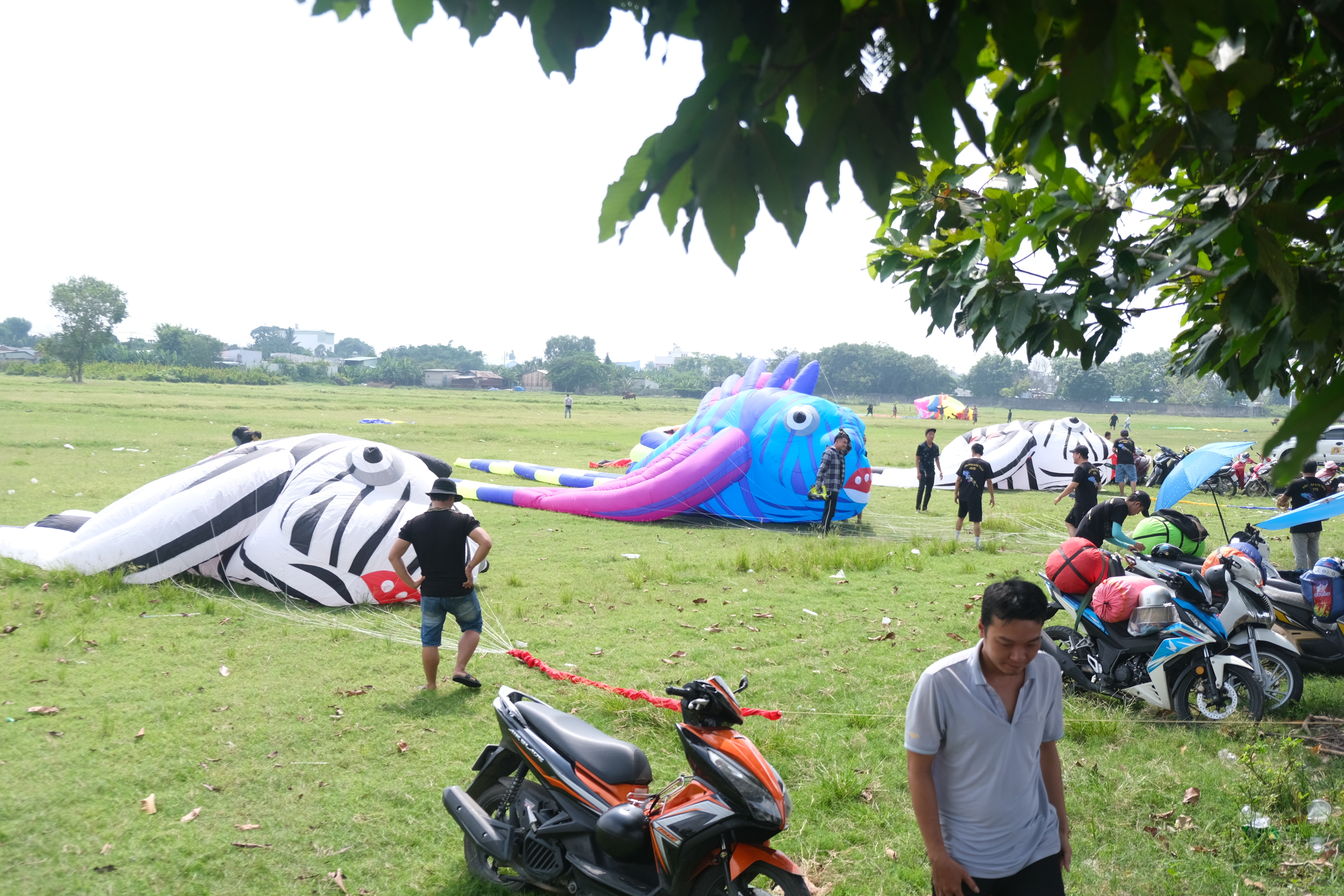 Giant kites are prepared to take off at a field in Hoc Mon District, Ho Chi Minh City. Photo: Ngoc Phuong / Tuoi Tre News