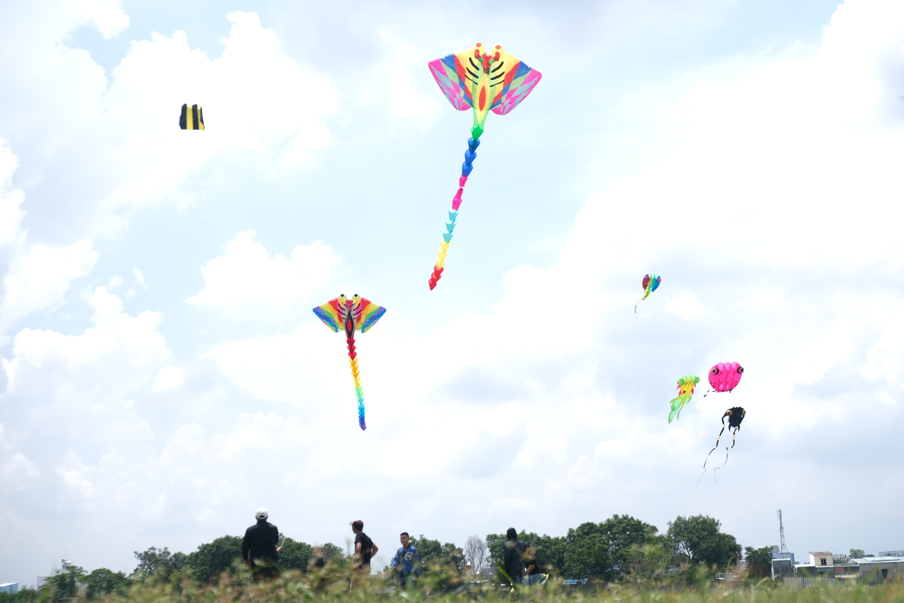 55 Big Rocket ADDI Kites for festivals short range Pulling