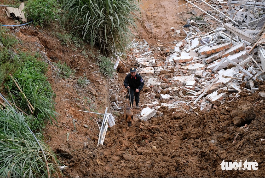 A rescue worker uses a sniffer dog to search for victims of the fatal landslide which hit Da Lat on June 29, 2023 in Da Lat. Photo: Duc Tho / Tuoi Tre