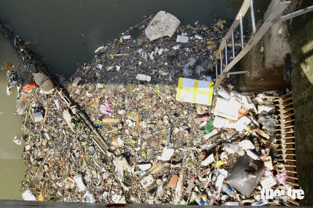 Garbage and dead fish cover an area of the canal.