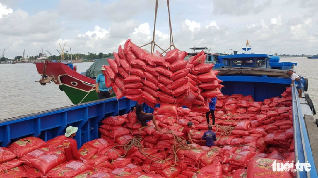 Workers load bags of rice onto a ship for export. Photo: Buu Dau / Tuoi Tre