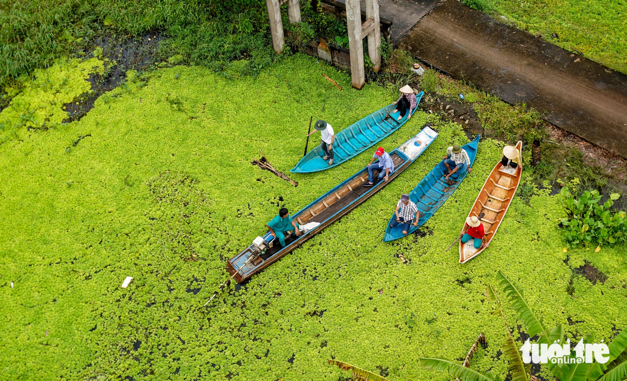 Visitors can rent boats to go deep into the forest in the U Minh Ha National Park, located in Ca Mau Province, southern Vietnam. Photo: Thanh Huyen / Tuoi Tre