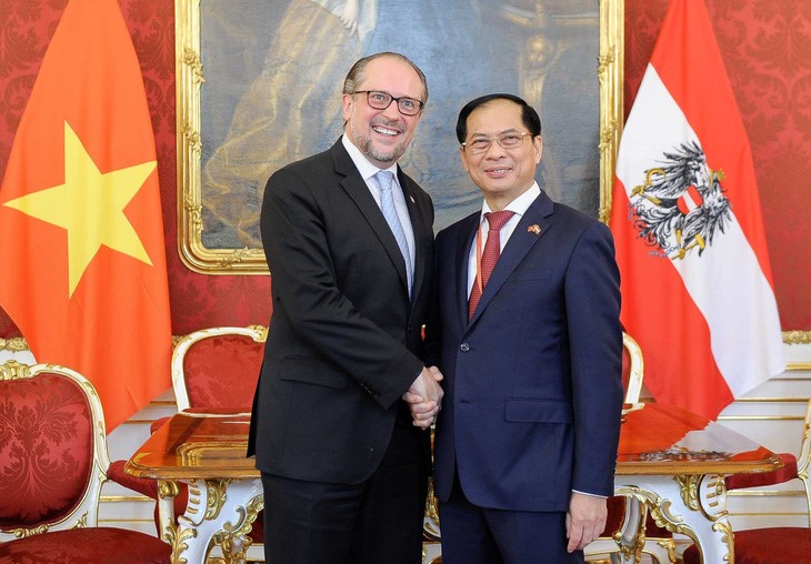 Vietnamese Minister of Foreign Affairs Bui Thanh Son (R) meets with his Austrian counterpart Alexander Schallenberg. Photo: Ministry of Foreign Affairs