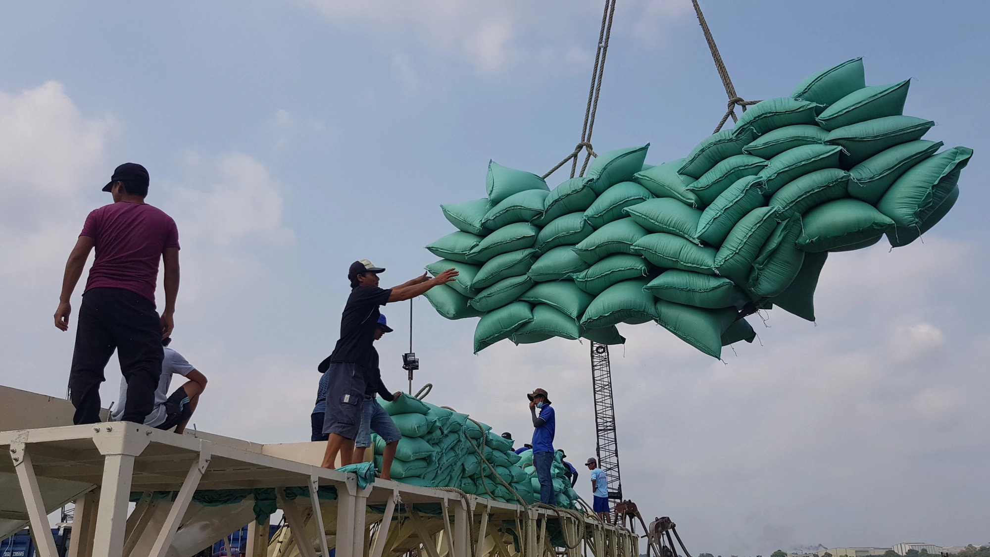 Workers load up shipping containers with bags of rice for export at My Thoi Port, Long Xuyen City, An Giang Province, southern Vietnam. Photo: Buu Dau / Tuoi Tre