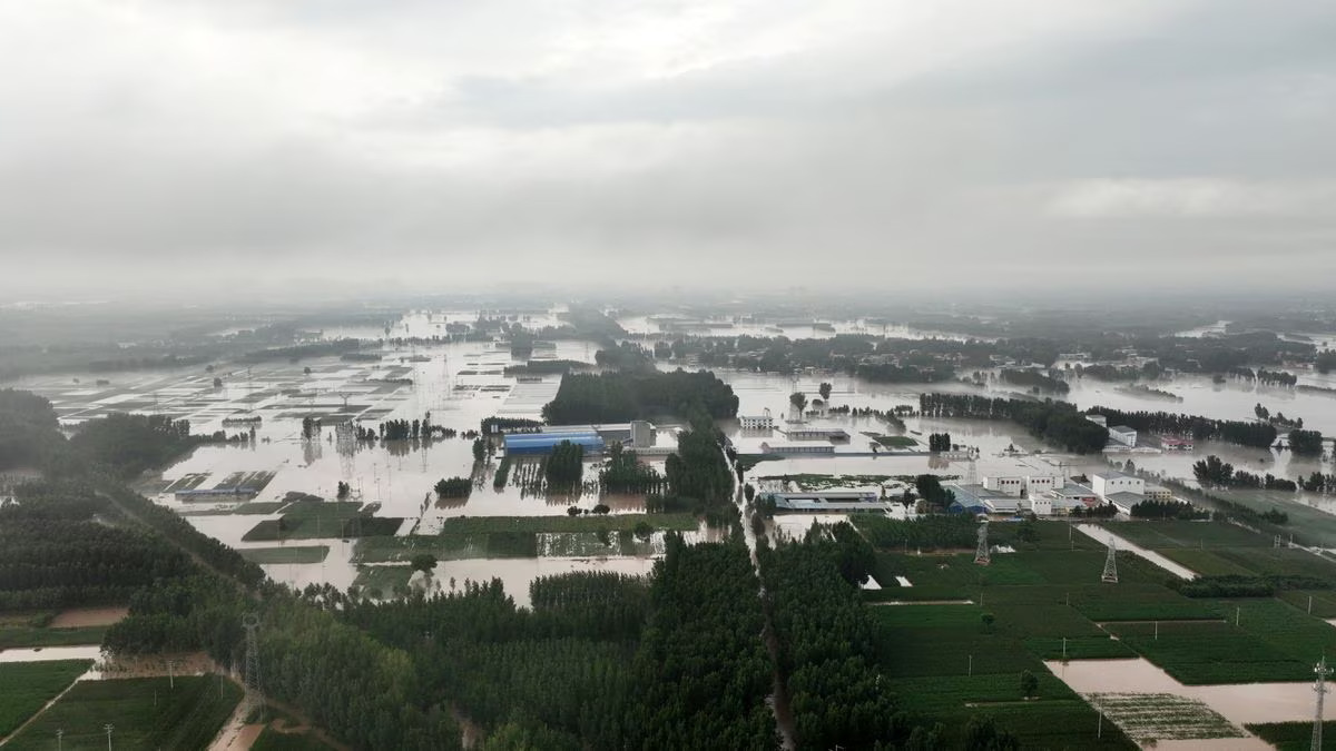 An aerial view shows flooded farmlands and houses near Tazhao village, following heavy rainfall in Zhuozhou, Hebei province, China August 1, 2023. Photo: Reuters