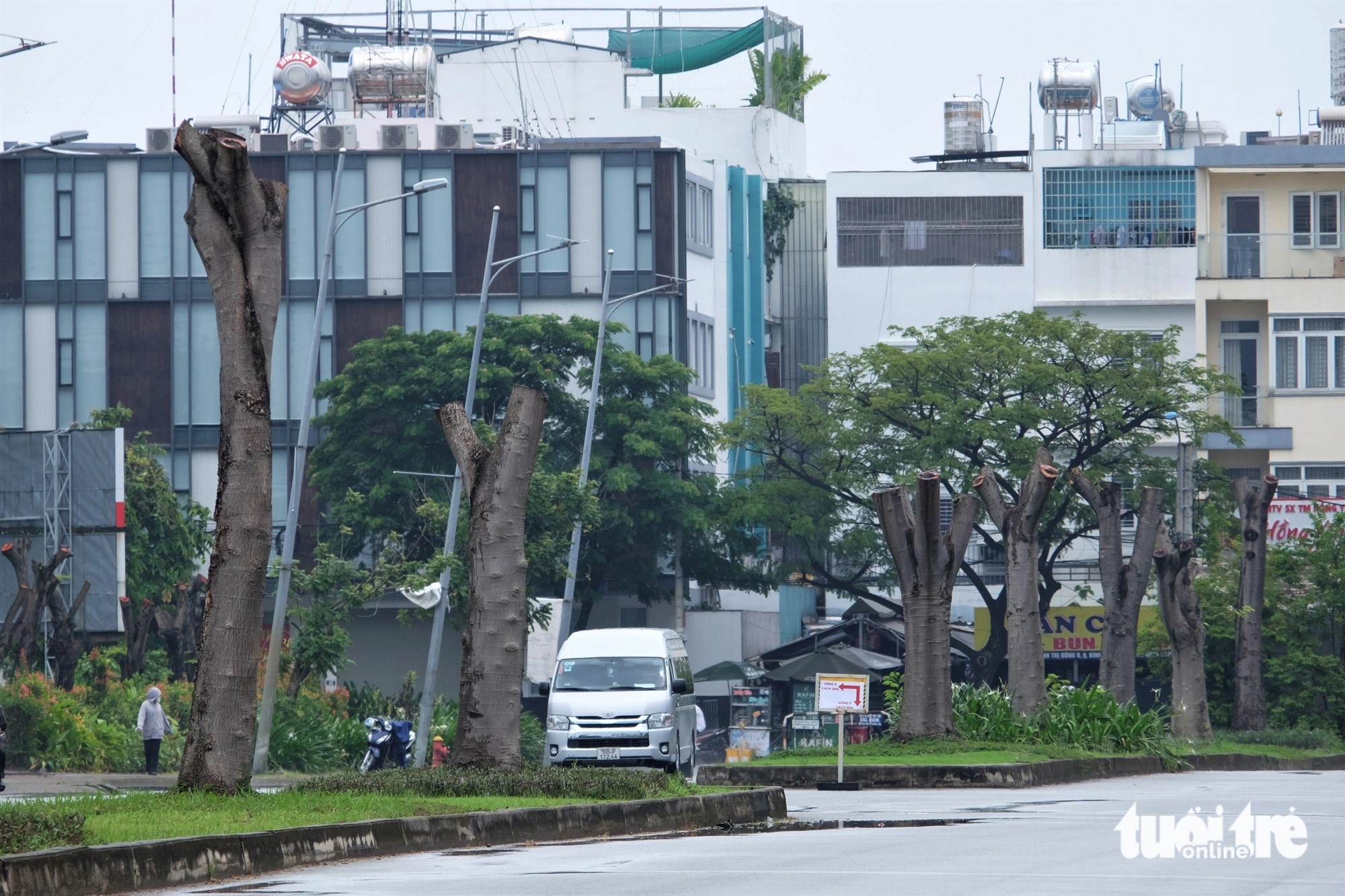 Improper pruning not effective prevention of storm damage in Ho Chi Minh City