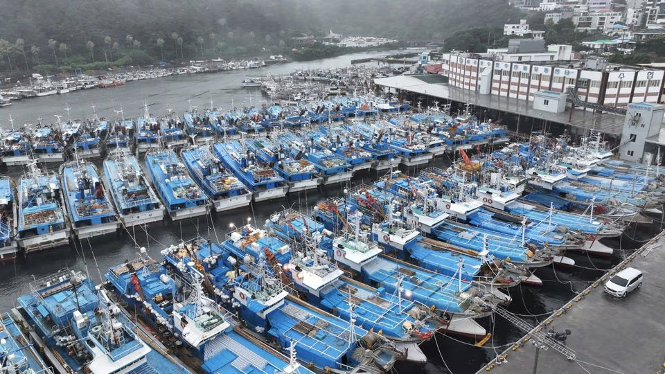 Fishing boats are anchored as they evacuate from typhoon Khanun at a port in Seogwipo on Jeju island, South Korea, August 9, 2023. Yonhap via Reuters