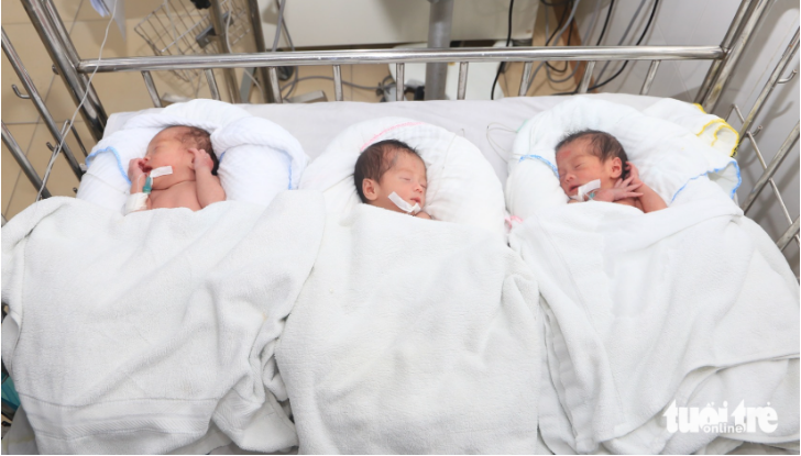 Three babies at the Nghe An Obstetrics and Pediatrics Hospital. Photo: Hoang Yen / Tuoi Tre