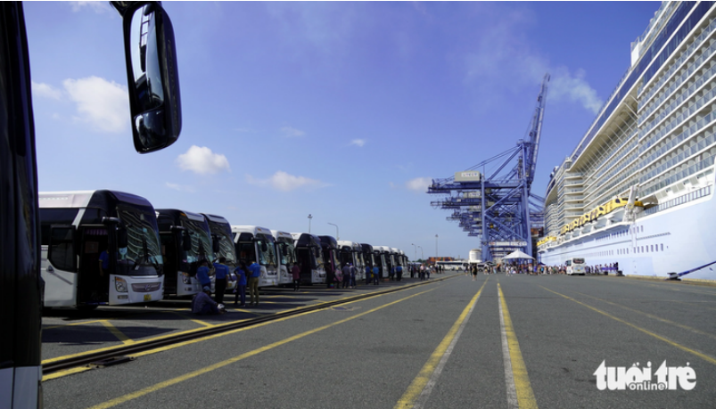 Coaches from local travel firm Saigontourist wait to transport tourists from the cruise ship. Photo: Dong Ha / Tuoi Tre