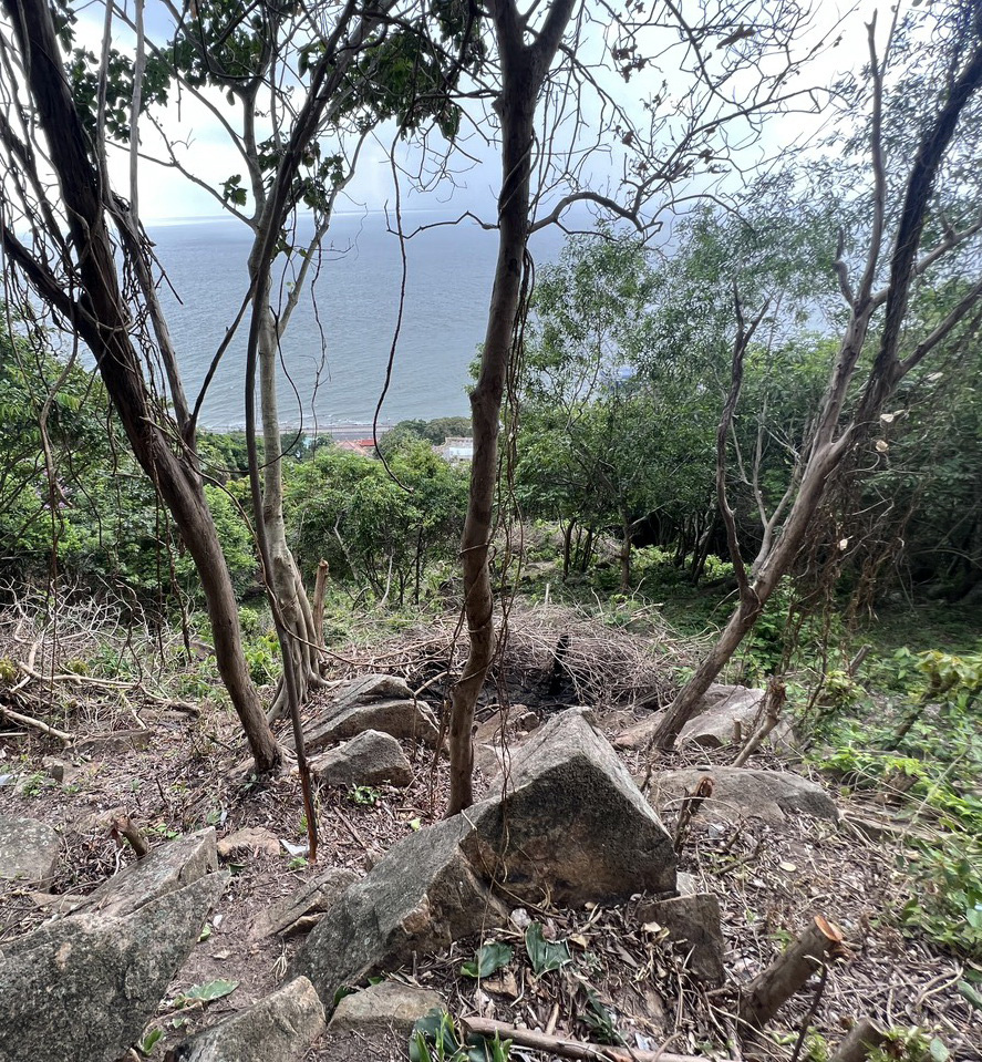An area affected by forest destruction on Nho Mountain in Vung Tau City, Ba Ria-Vung Tau Province, southern Vietnam. Photo: Dong Ha / Tuoi Tre