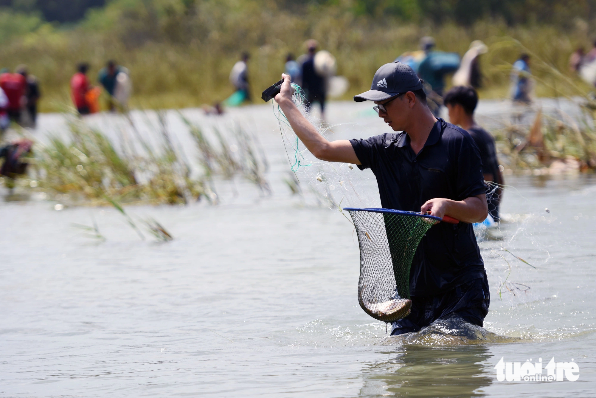 A man hailing from the adjacent province of Binh Duong uses a racket to catch fish at Tri An Hydropower Reservoir in Dong Nai Province, southern Vietnam, August 25, 2023. Photo: A Loc / Tuoi Tre