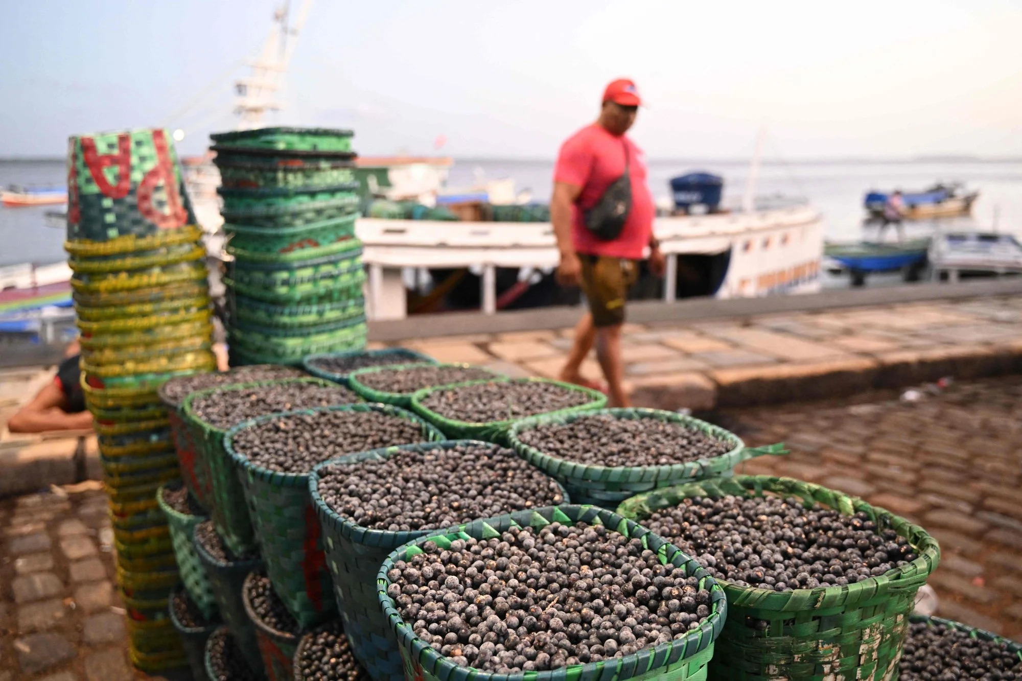 Acai berries at a market on the shores of the Guajara Bay in Belem, Para state, Brazil on August 4. Photo: AFP