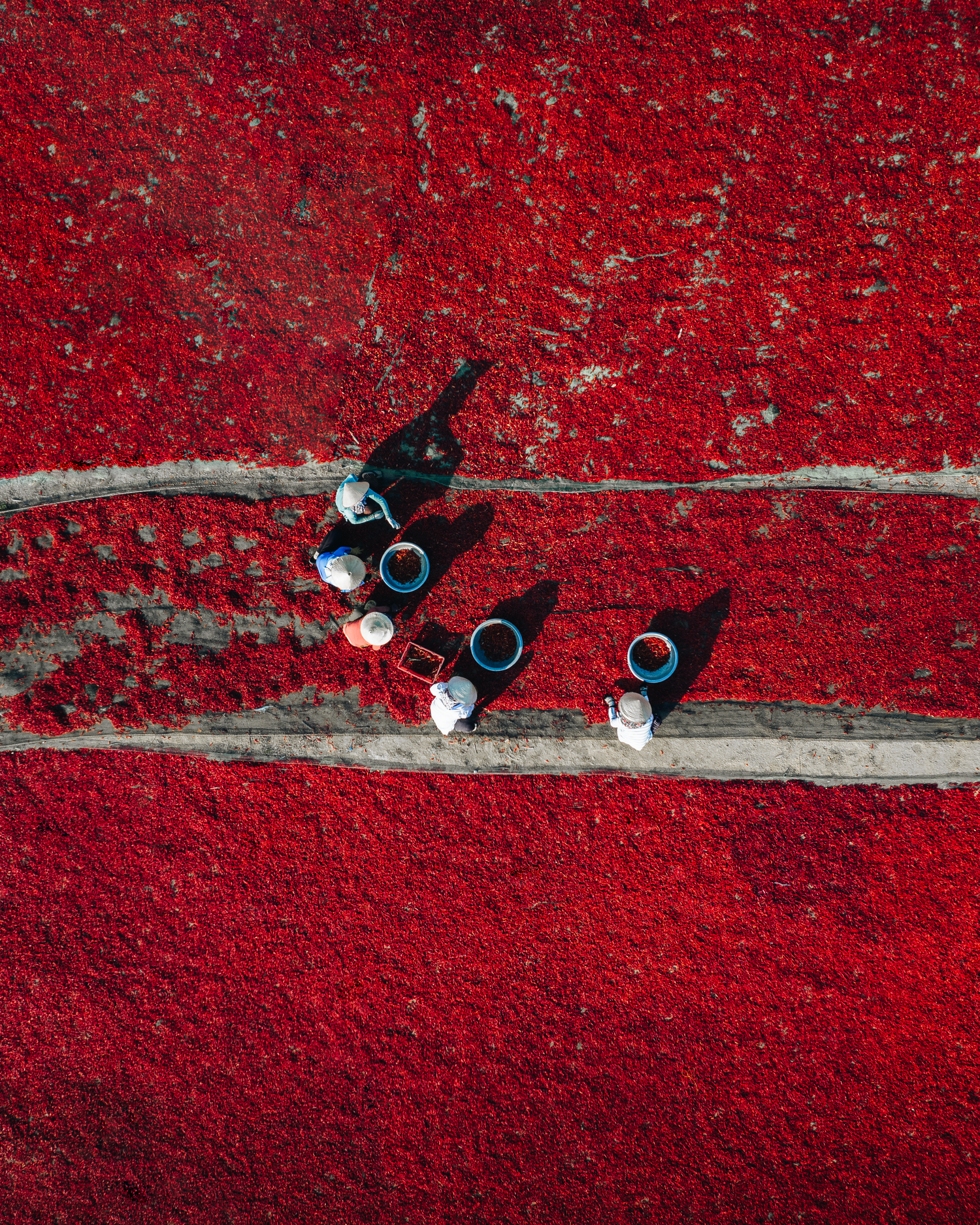 A bird's-eye view taken by Benjamin Tortorelli of farmers drying chilies in Quy Nhon City, central Vietnam.