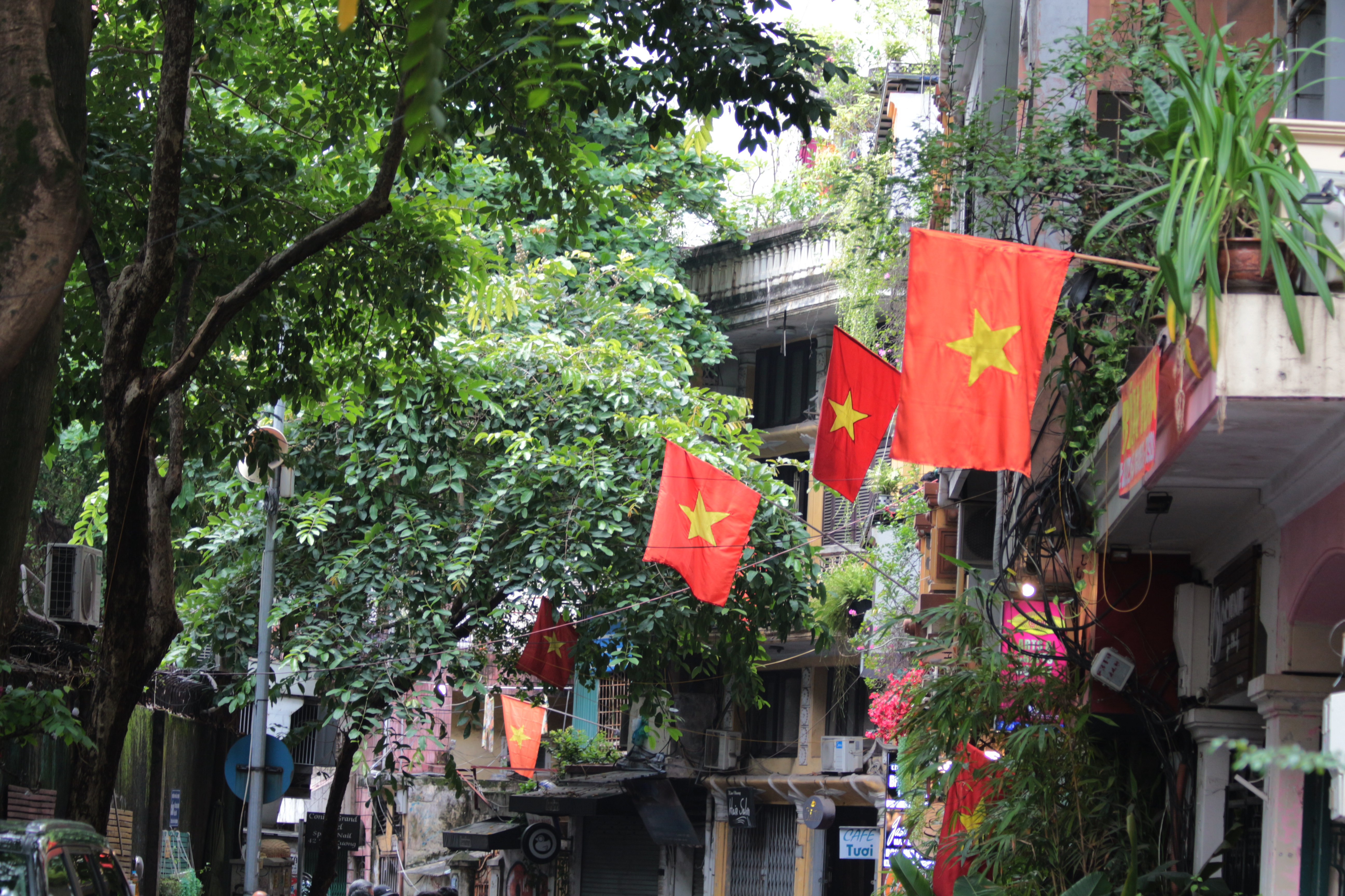 Back to basics: Why I chose to move to Vietnam