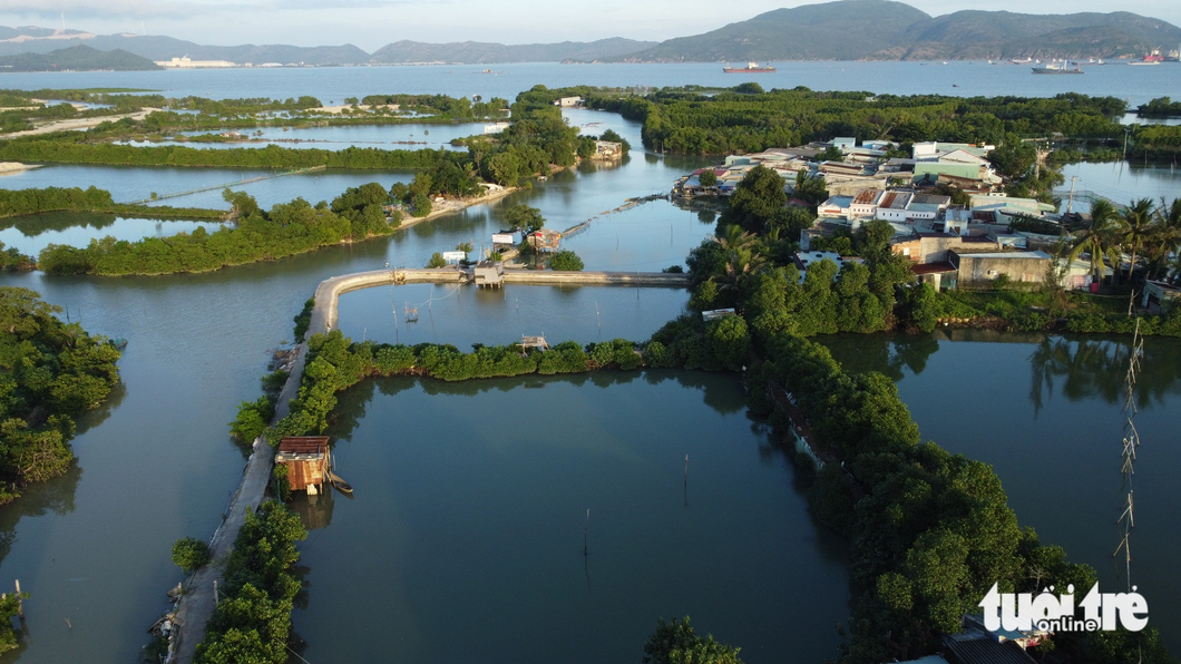 Local residents' houses are nestled in the mangrove forests that surround Thi Nai Lagoon, Binh Dinh Province, south-central Vietnam. Photo: Lam Thien / Tuoi Tre