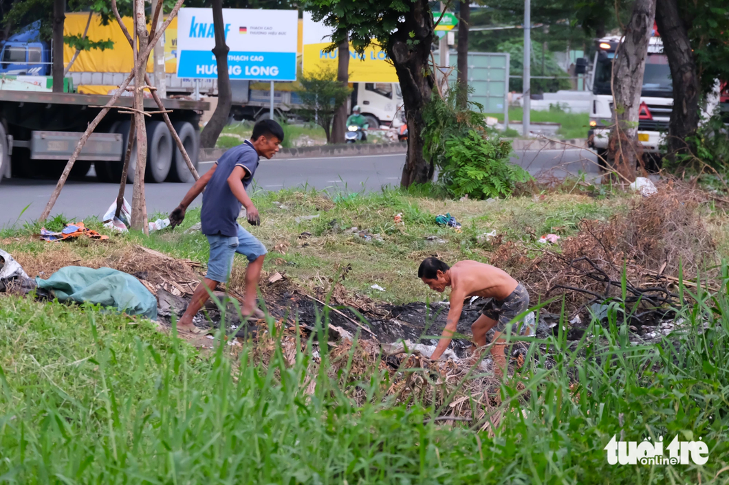 Residents in Binh Chanh District, Ho Chi Minh City collect burned trees and garbage. The median strips of Nguyen Van Linh Boulevard sections in other communes are covered with weeds.