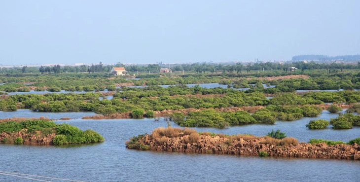 The Tien Hai Wetland Nature Reserve, located in Thai Binh Province, northern Vietnam. Photo: Van Ngoc / Tuoi Tre