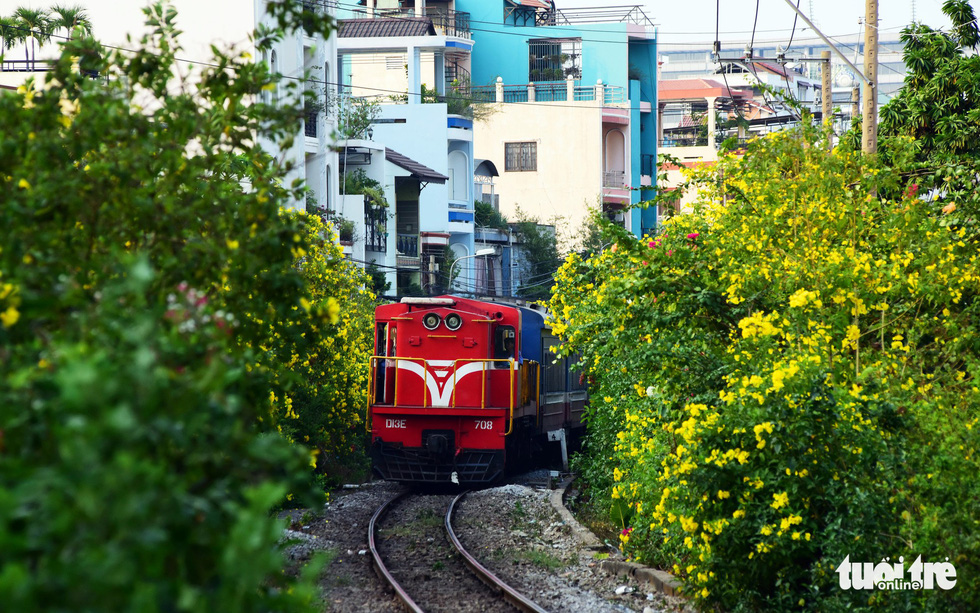 A train snakes through yellow bells bloomming along the track in Phu Nhuan District, Ho Chi Minh City. Photo: Le Phan / Tuoi Tre