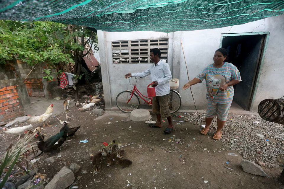 Fisherman Ung Bun and his wife Karn Sak feed chickens at his house as part of his source of income in Angkoal village in Cambodia's southern Kep Province, August 17, 2023. Photo: Reuters