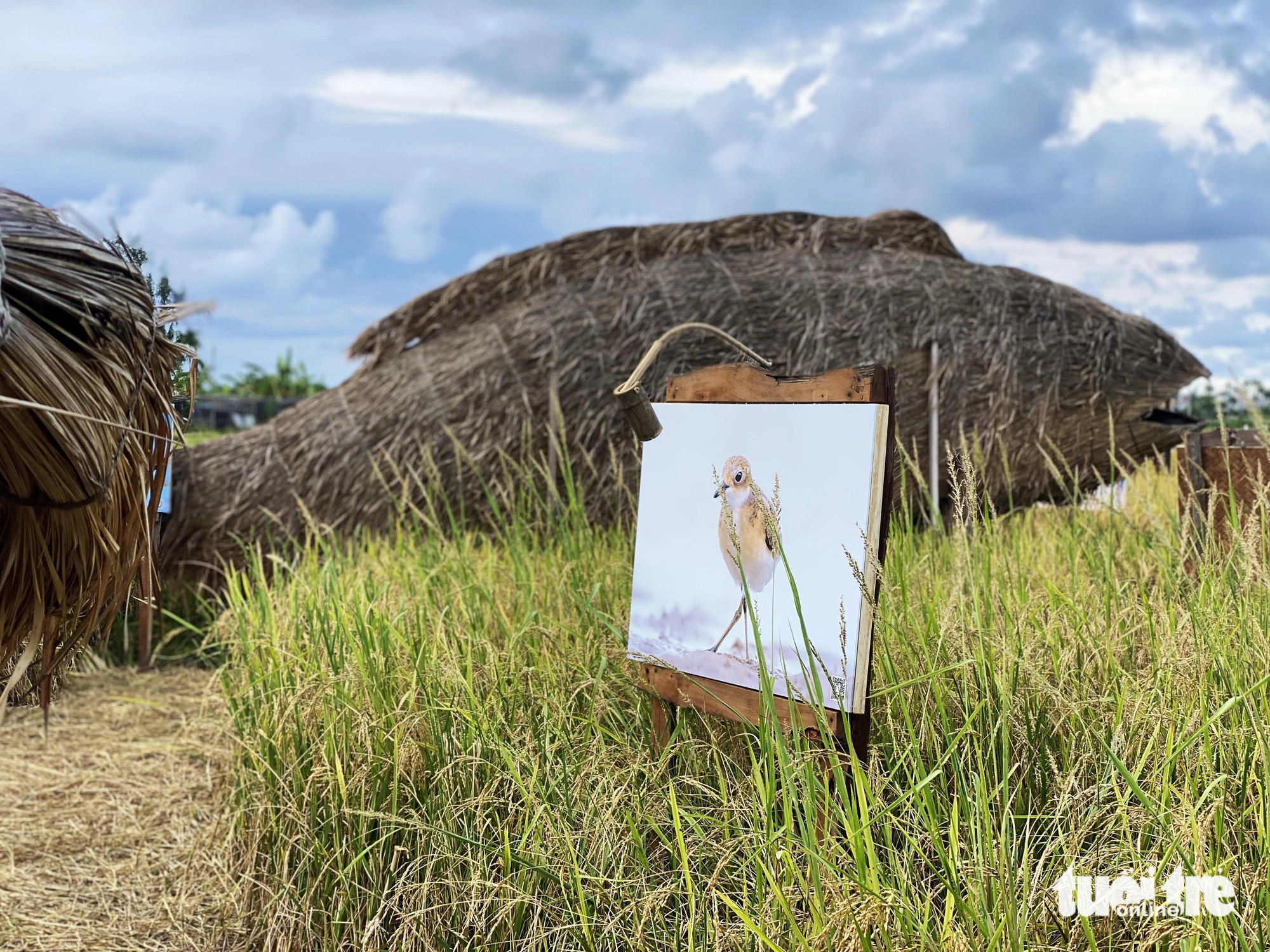 Wildlife photo exhibit in Hoi An spreads message on environmental protection