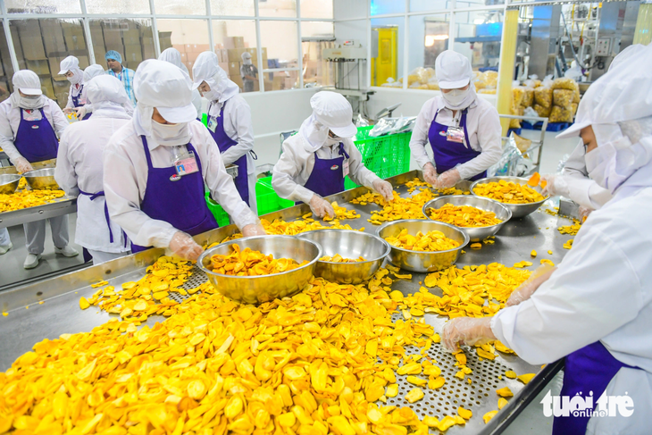 Workers process and package fried jackfruit at Vinamit JSC in Binh Duong Province, a neighbor of Ho Chi Minh City. Photo: Quang Dinh / Tuoi Tre