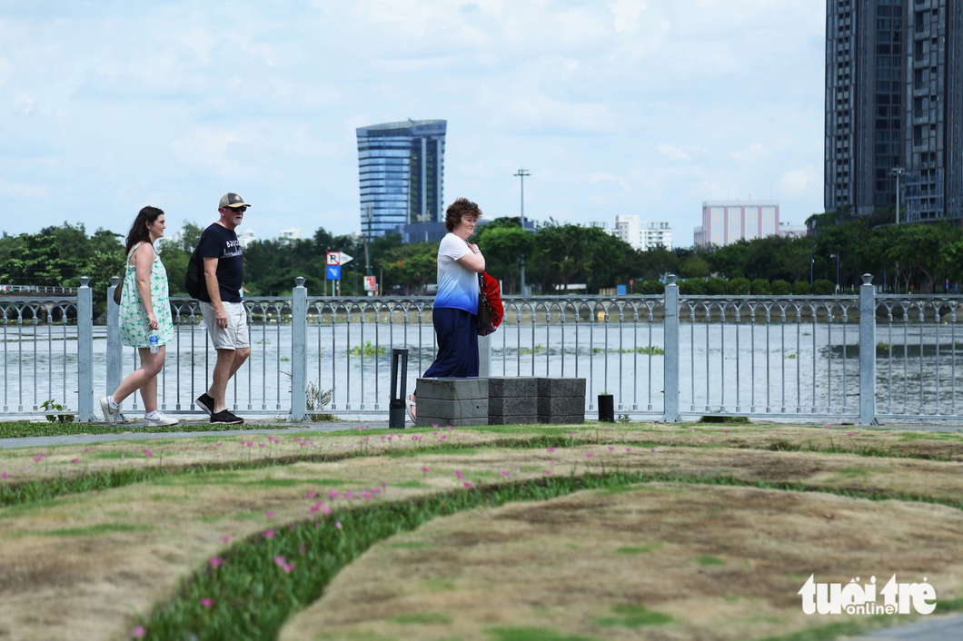 Tourists walk past the discolored lawn at Bach Dang Wharf Park in District 1, Ho Chi Minh City, September 25, 2023. Photo: Tuoi Tre